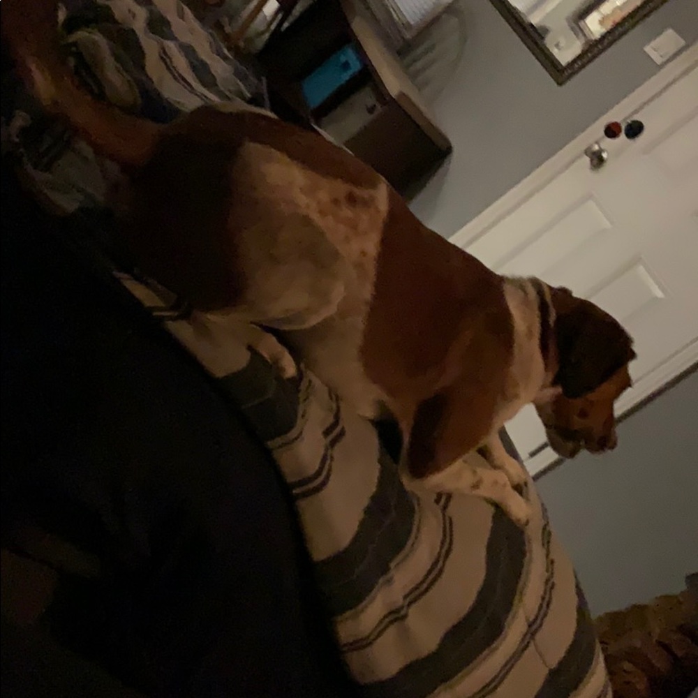 Meet your Posher, Meghan